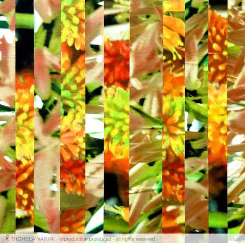 Fiori esotici Michela Varini
