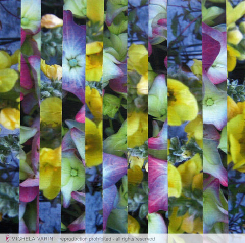 Ortensie n° 2 Michela Varini