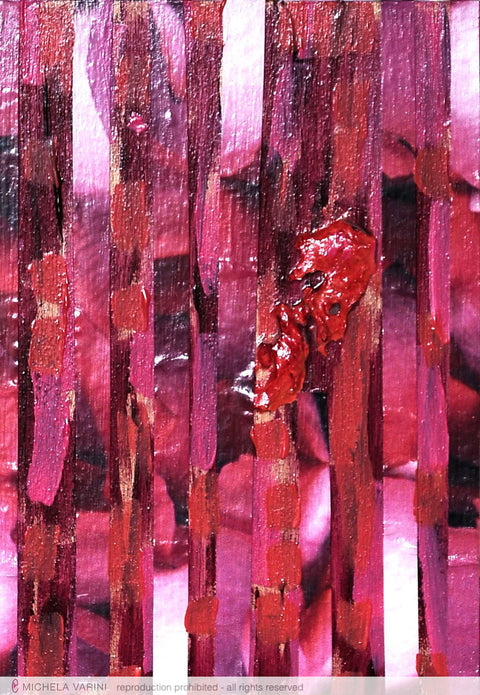 Rosso rosa bianco Michela Varini