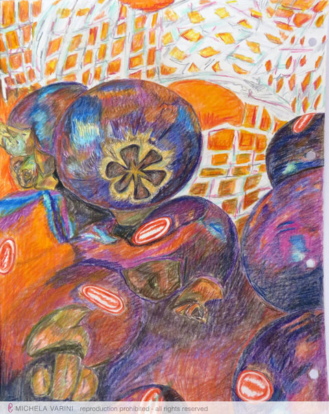 Frutti di Mangoustan Michela Varini