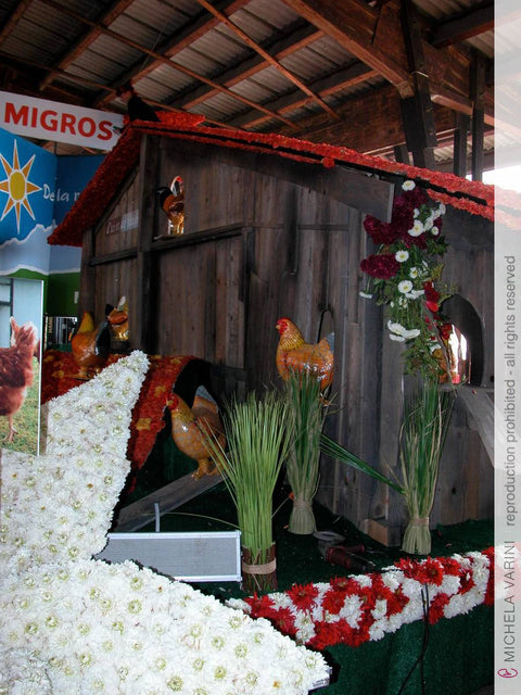 Carro della Società cooperativa Migros Neuchâtel-Friburgo Michela Varini