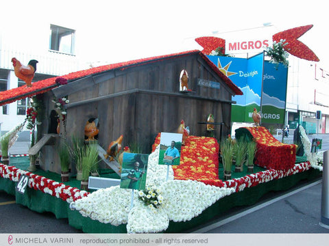 Carro della Società cooperativa Migros Neuchâtel-Friburgo Michela Varini