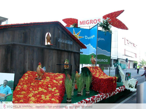 Carro della Società cooperativa Migros Neuchâtel-Friburgo Michela Varini