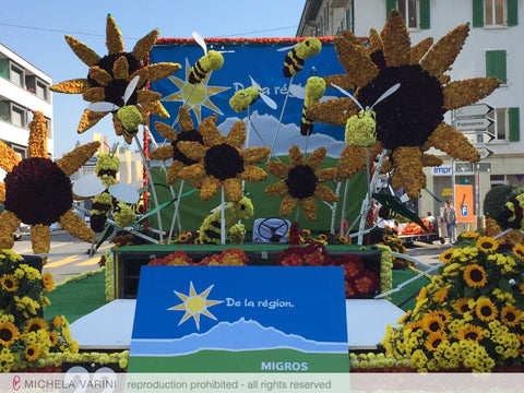Carro della Società cooperativa Migros Neuchâtel-Friburgo Michela Varini