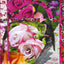 cartolina "Le Rose 2021 | 2" Michela Varini