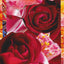 cartolina "Le Rose 2021 | 5" Michela Varini