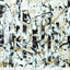 Bianco e nero Michela Varini